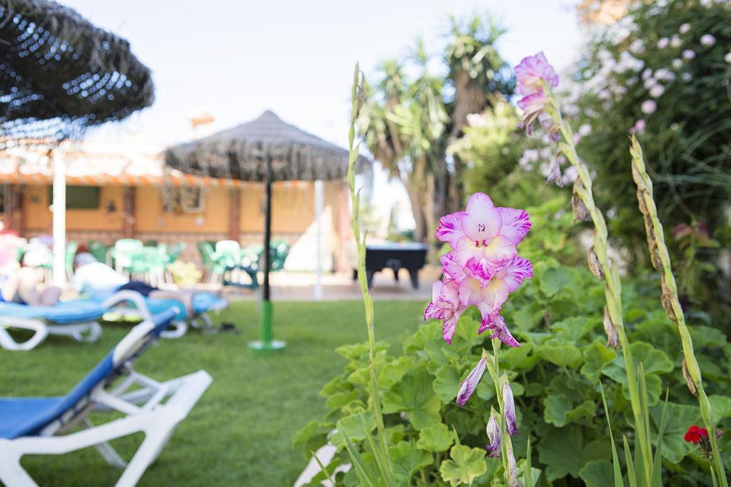Benalmadena Estudio อาร์โรโย เดลา เมียล ภายนอก รูปภาพ